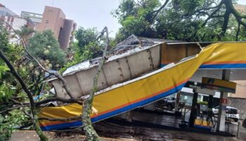 Galho de árvore cai durante temporal e derruba cobertura de posto em BH
