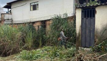 Prefeitura notifica proprietários para limpeza de lotes e reforça alerta sobre alto índice do LIRAa