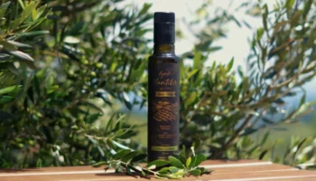 Azeite do Sul de MG é eleito o melhor do Brasil e um dos melhores do mundo