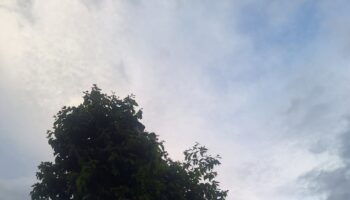 Saae realiza limpeza no reservatório da região de Macacos próxima terça-feira (07)