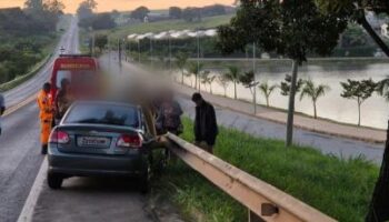 Cavalo morre após ser atropelado na MG-050 e deixa dois feridos em Pimenta