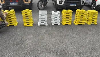 Homem é preso após perseguição na BR-262; polícia apreende 300 kg de maconha