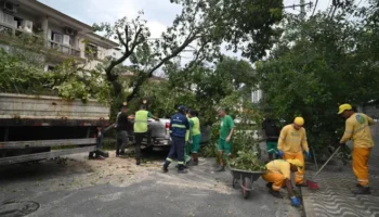 Vendaval deixa rastro de destruição e previsão indica mais chuva no RJ e em SP