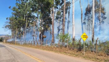 Fogo em vegetação provoca interdição da Estrada 105 em Itabira
