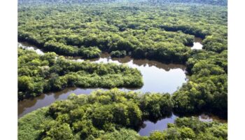 Perda de vegetação nativa deixa Brasil mais vulnerável aos efeitos do El Niño, aponta estudo