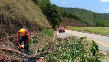 Queda de árvores interdita trechos da LMG-779 e mobiliza Bombeiros em Itabira