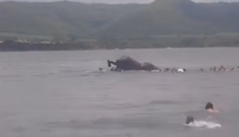 Chalana naufraga com 20 pessoas no Rio Grande, em Minas Gerais; todos conseguem se salvar